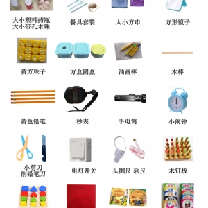 Bayley貝利嬰幼兒發(fā)展量表BSID工具箱包